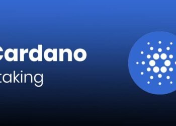 Cardano Staking