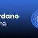 Cardano Staking