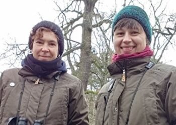 Ina Müller Schlaganfall aktuell