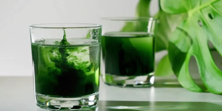 Flüssiges Chlorophyll